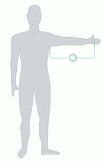 Arm Length